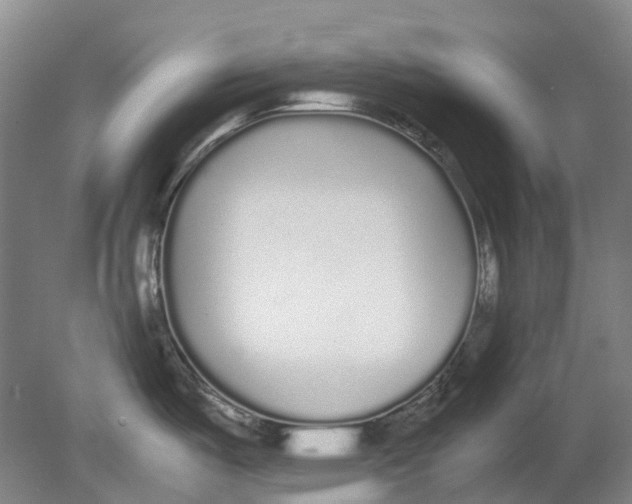 X0000080781487200701051315