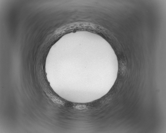 X0000080781489200701051314