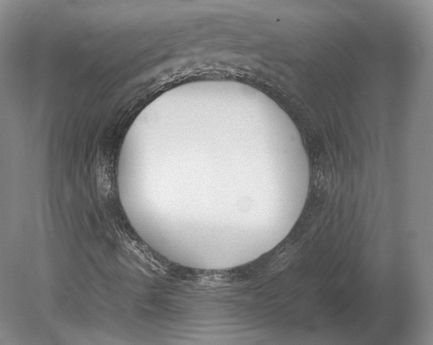 X0000080781490200701051314