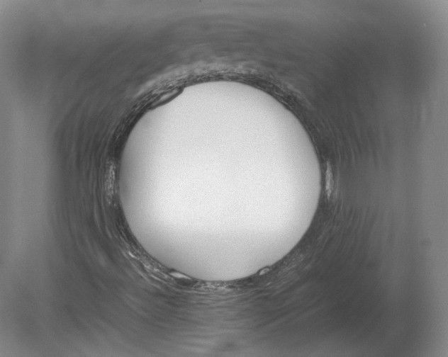 X0000080781492200701051314