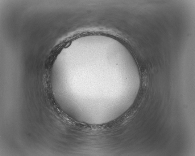 X0000080781494200701051314