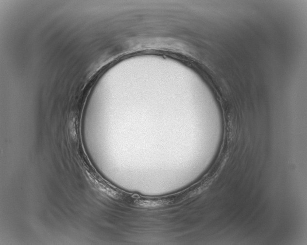 X0000080781497200701051314