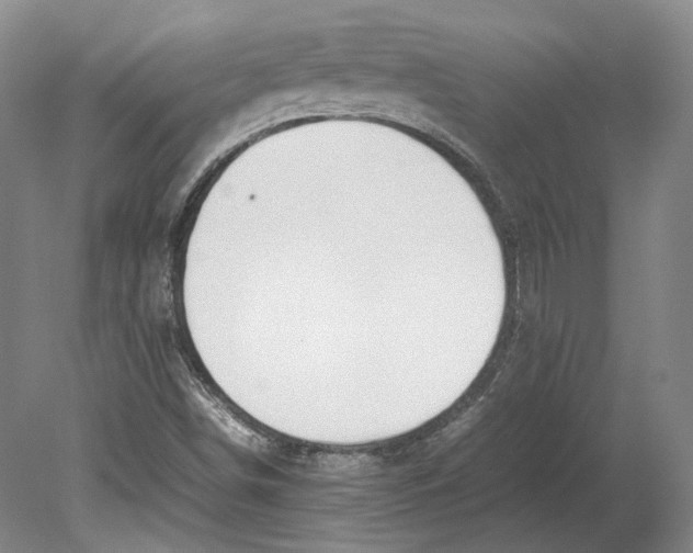 X0000080781498200701051314