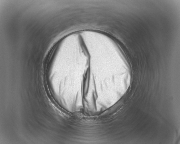 X0000080781508200701051314