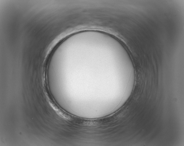 X0000080781511200701051314
