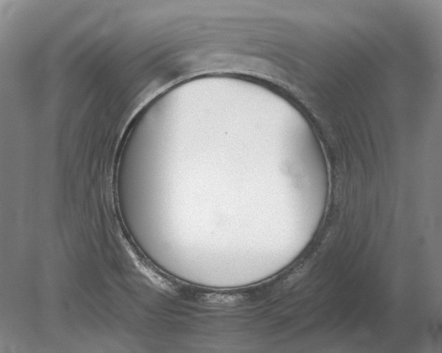 X0000080781513200701051314