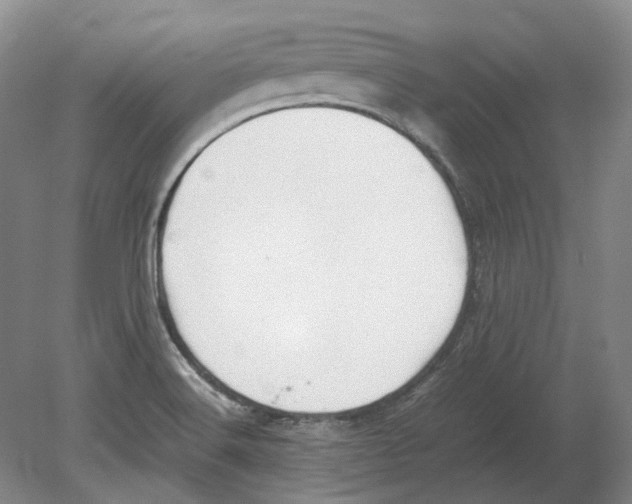 X0000080781516200701051314