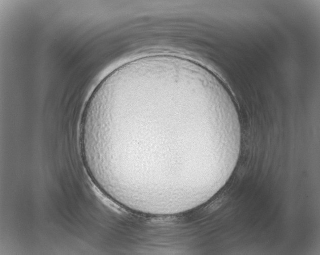 X0000080781535200701051314