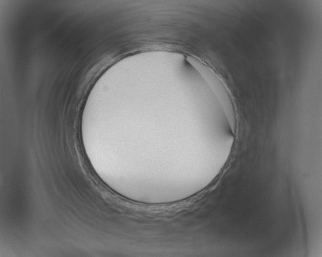 X0000080780001200701122134