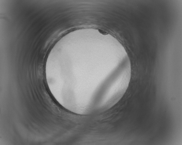 X0000080780002200701122134