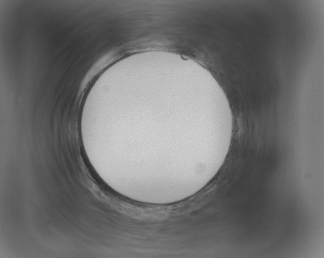 X0000080780004200701122134