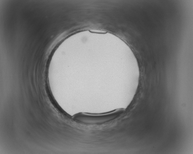 X0000080780007200701122134