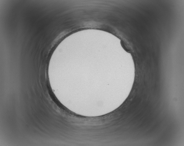 X0000080780011200701122133