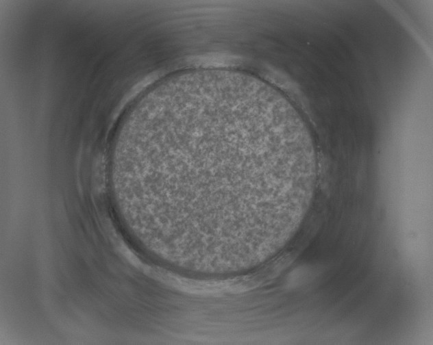 X0000080780012200701122133