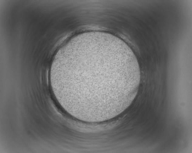 X0000080780014200701122133