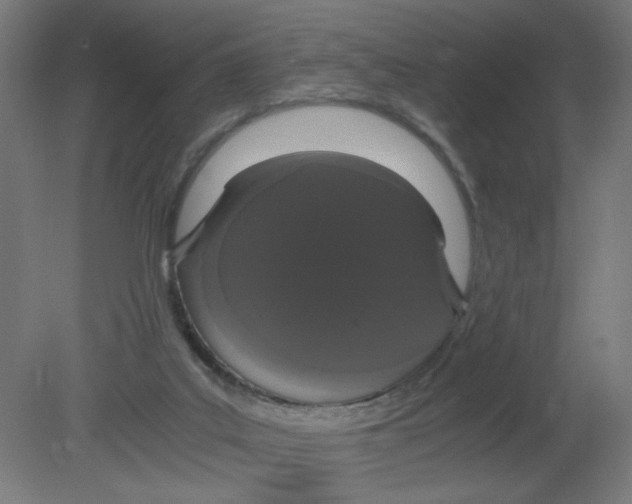X0000080780019200701122133