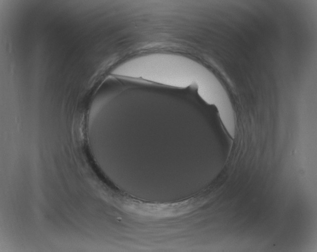 X0000080780023200701122133