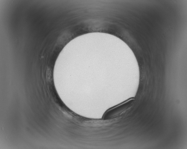X0000080780025200701122133