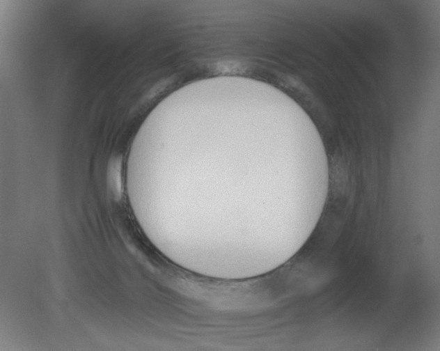 X0000080780028200701122133