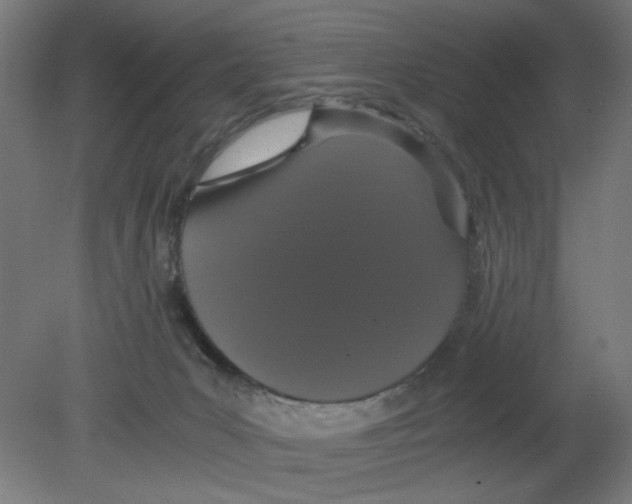 X0000080780031200701122133