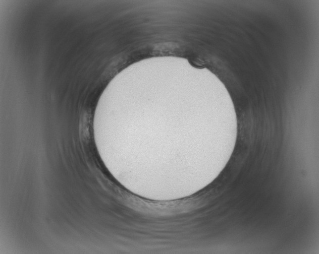 X0000080780038200701122133