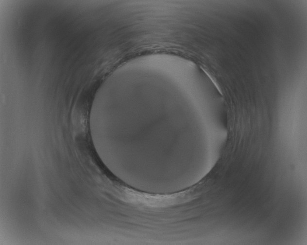 X0000080780039200701122133