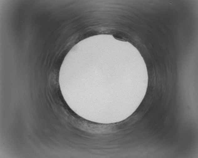 X0000080780044200701122133