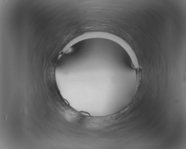 X0000080780045200701122133