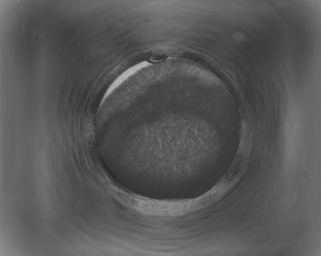 X0000080780048200701122133