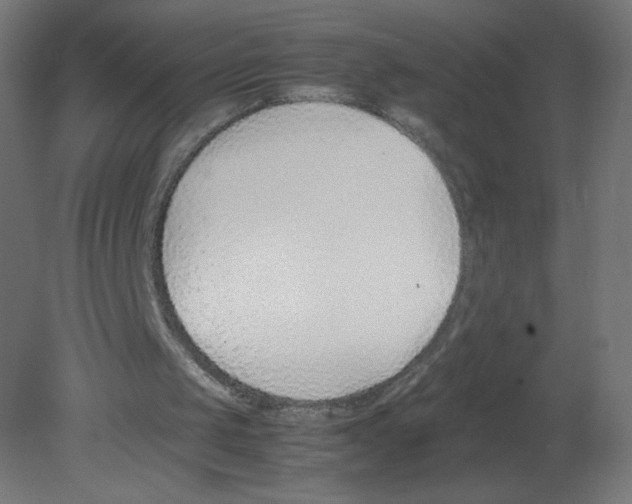 X0000080780049200701122132