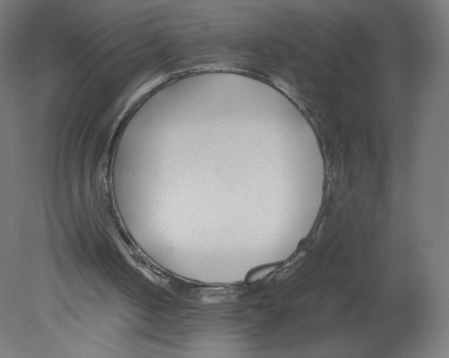 X0000080780050200701122132