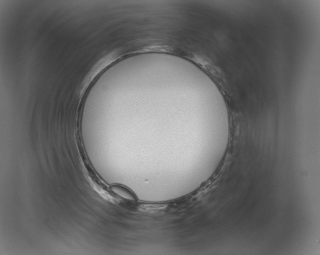 X0000080780051200701122132