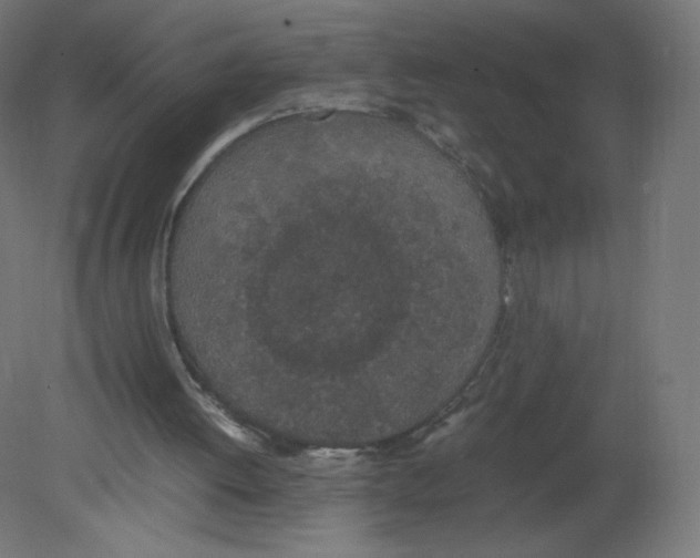 X0000080780052200701122132