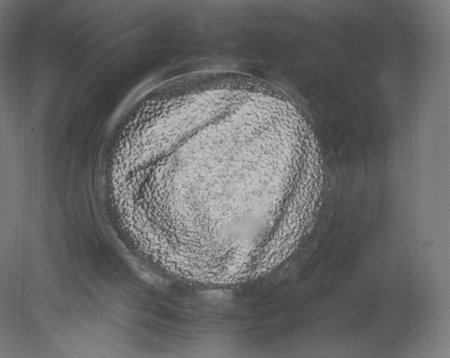 X0000080780053200701122132