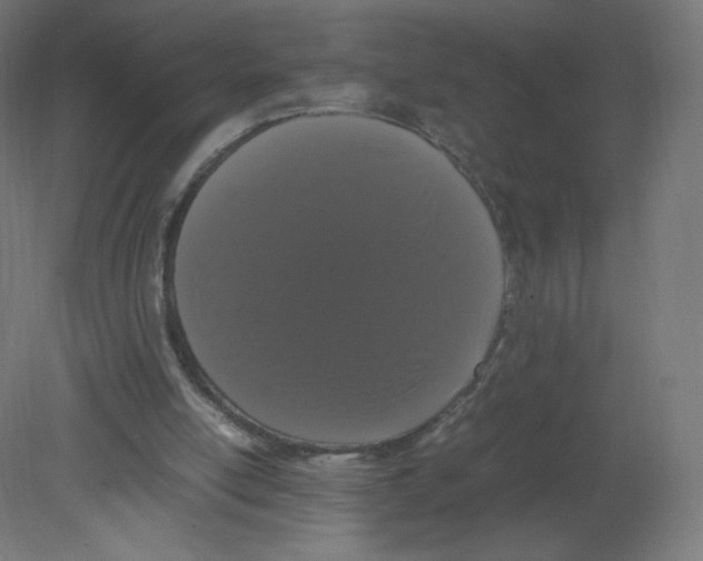 X0000080780054200701122132