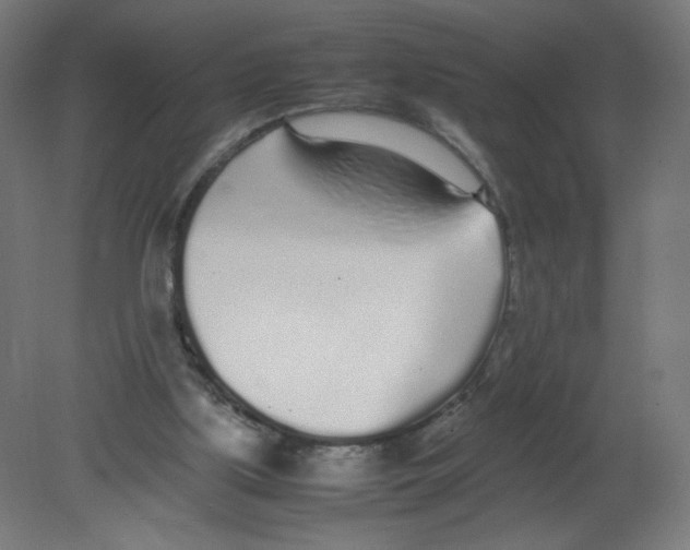 X0000080780059200701122132