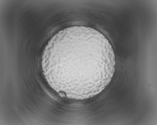 X0000080780061200701122132