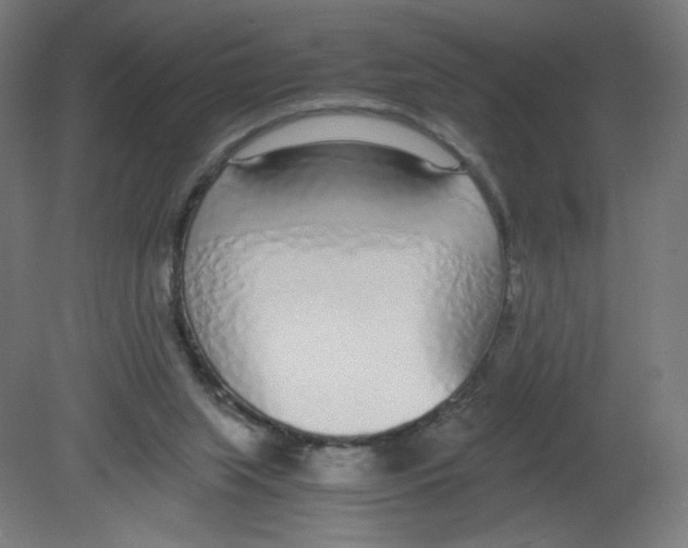 X0000080780063200701122132