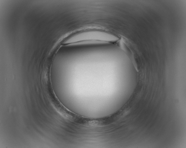 X0000080780064200701122132