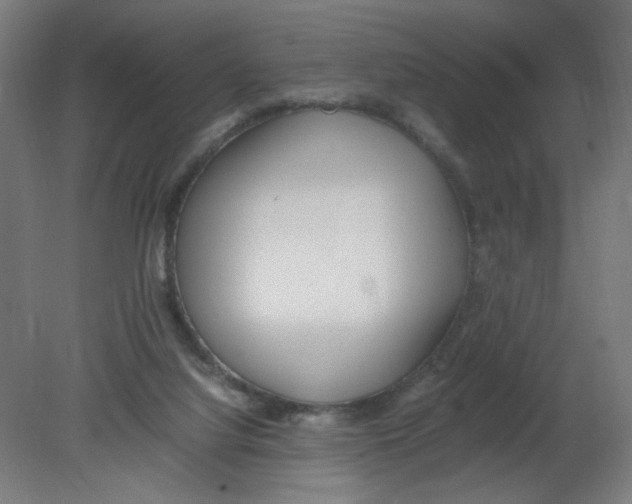 X0000080780068200701122132