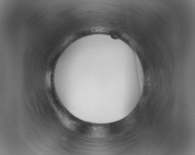 X0000080780070200701122132