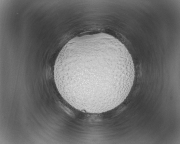 X0000080780089200701122133