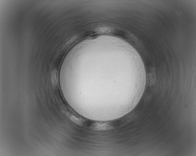 X0000080780093200701122133