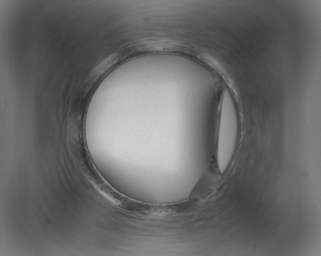 X0000080780105200701122132