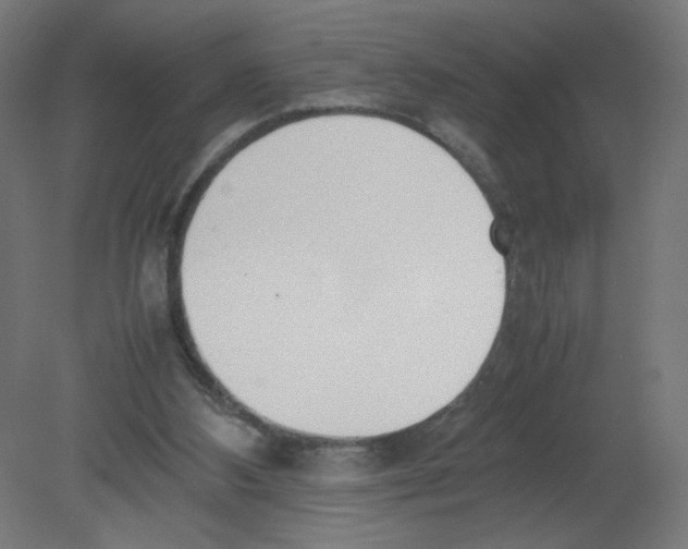 X0000080780108200701122132