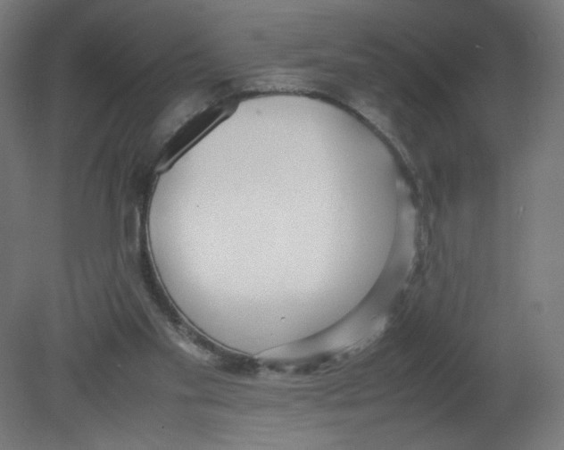 X0000080780109200701122132