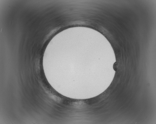 X0000080780112200701122132