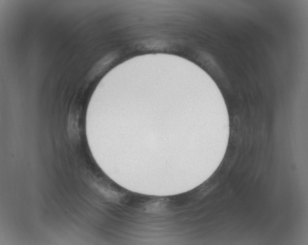 X0000080780116200701122132