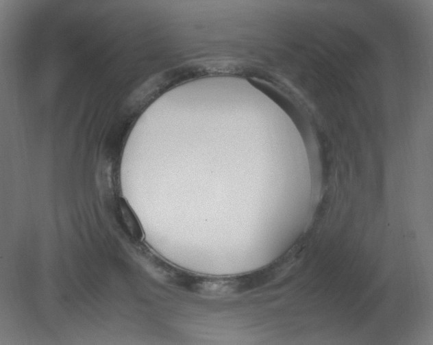 X0000080780117200701122132