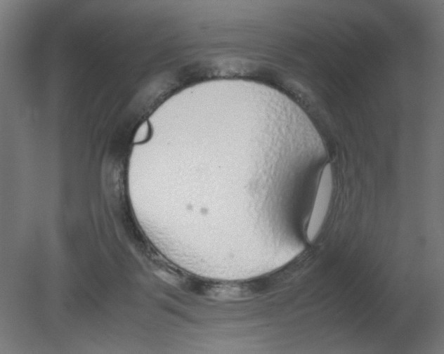 X0000080780123200701122132